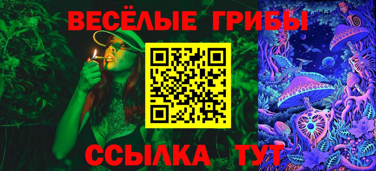 Псилоцибиновые грибы MAGIC MUSHROOMS Камышлов