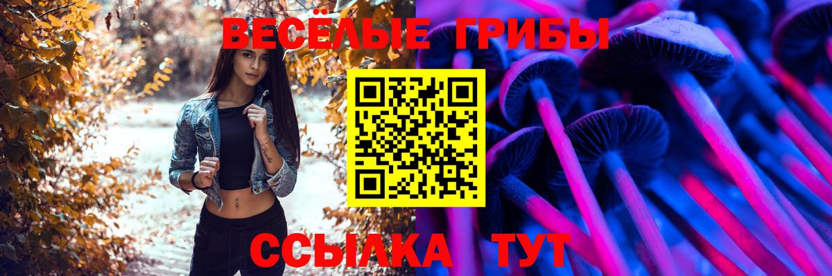 Псилоцибиновые грибы прущие грибы  Вход с VPN  Камышлов  Галлюциногенные грибы ЛСД 